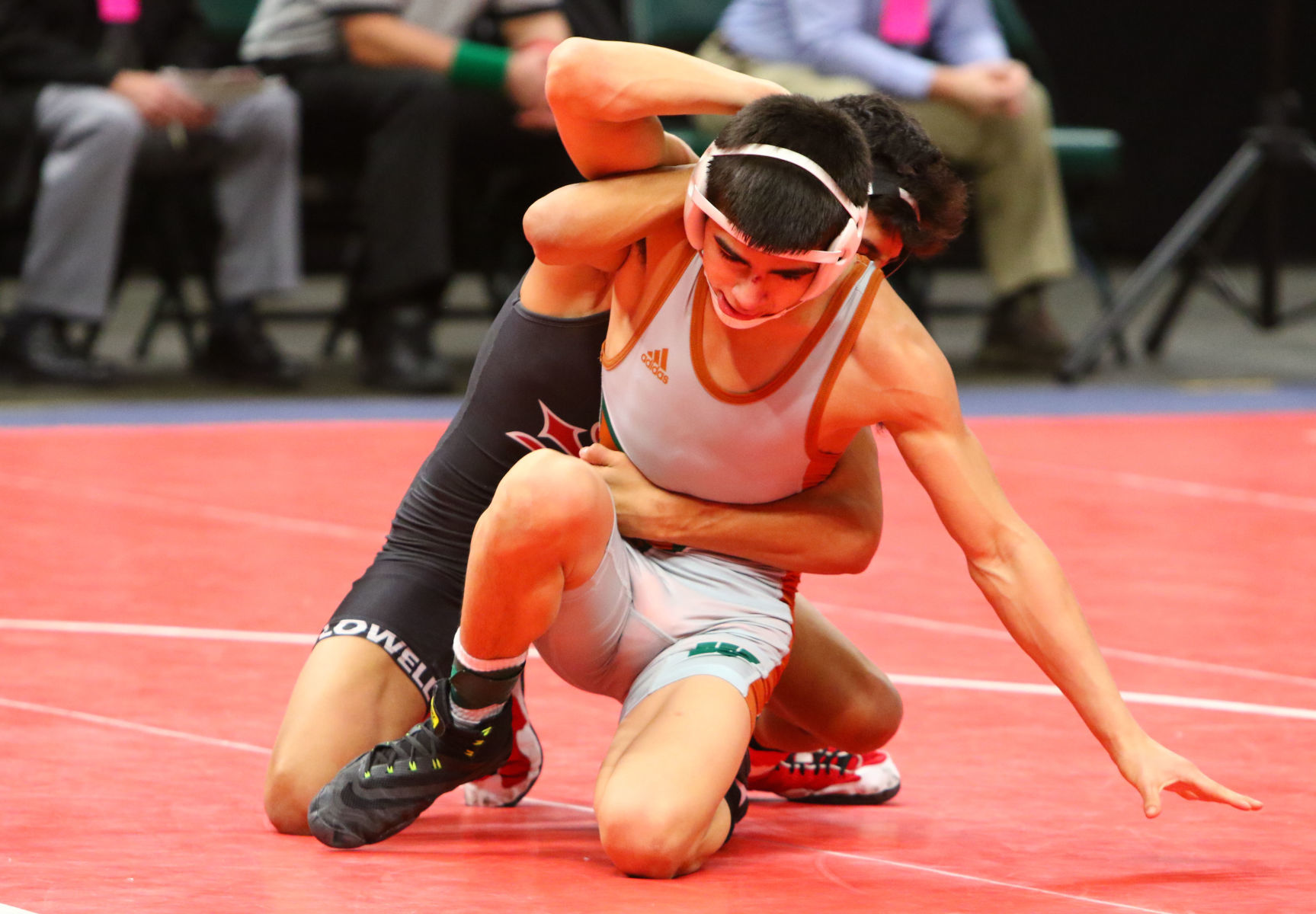 Gallery: Wrestling State Finals